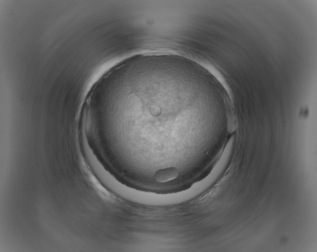 X0000092001485200709271457