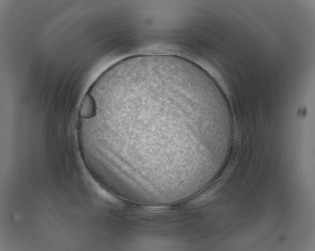 X0000092001486200709271457