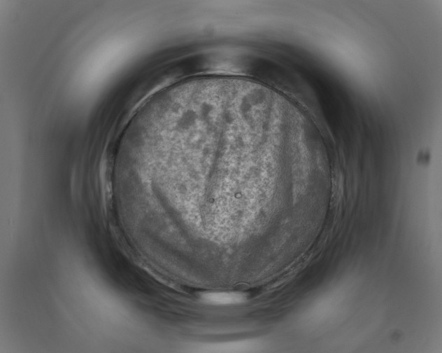 X0000092001487200709271457