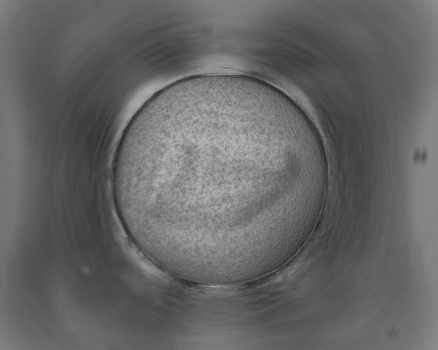 X0000092001488200709271457