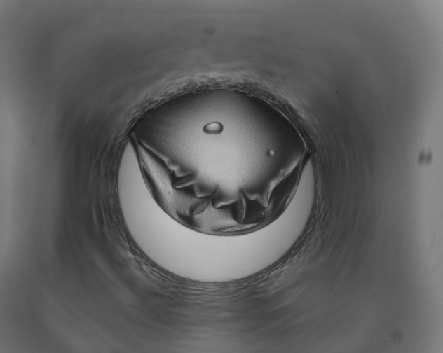 X0000092001492200709271457