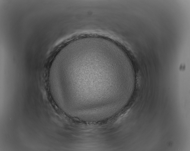 X0000092001494200709271457