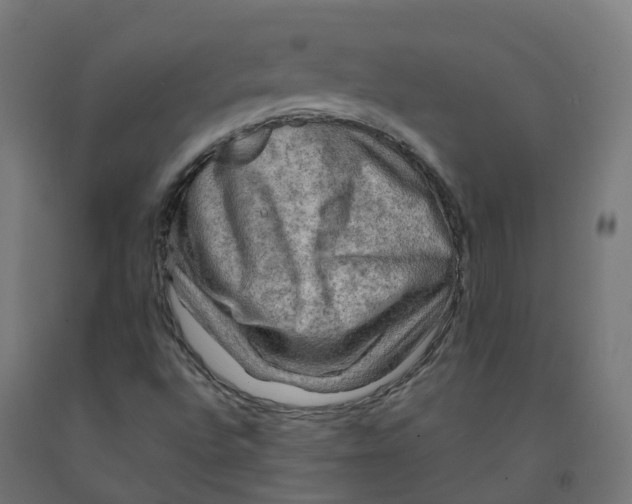 X0000092001496200709271457