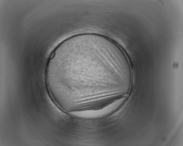 X0000092001500200709271457