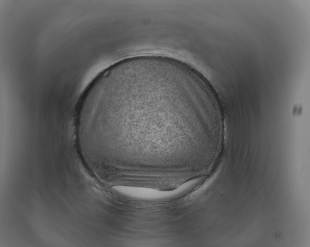 X0000092001501200709271457