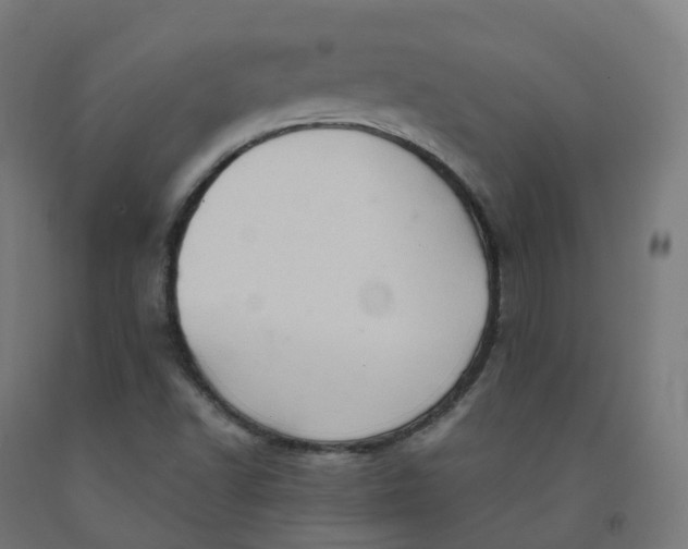 X0000092001502200709271457