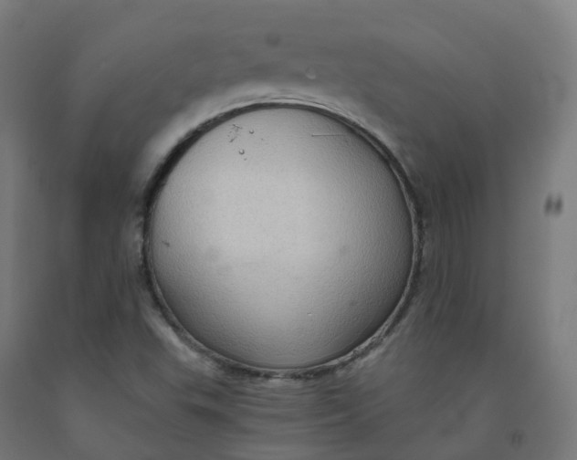 X0000092001503200709271457