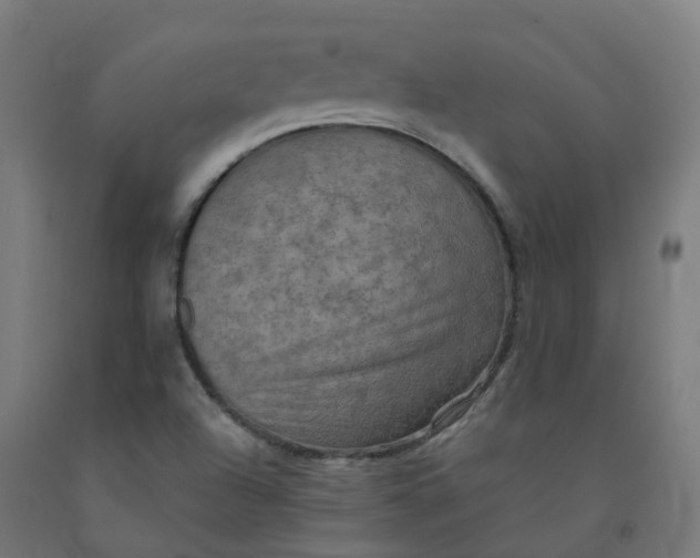 X0000092001504200709271457