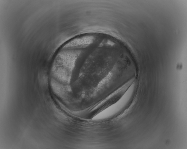 X0000092001505200709271457