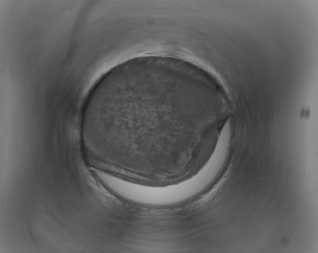 X0000092001506200709271457