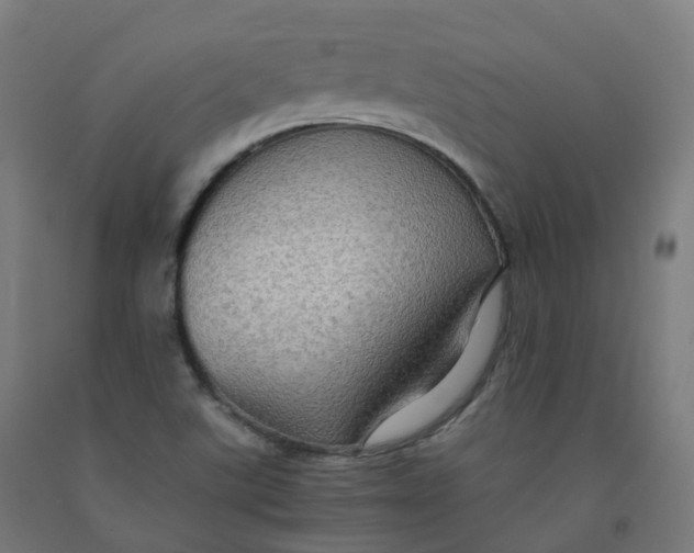 X0000092001507200709271457