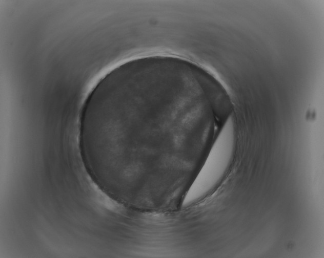 X0000092001508200709271457