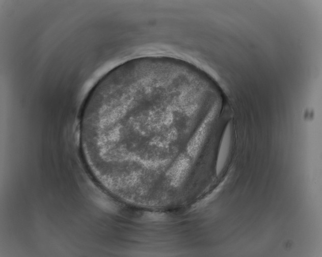 X0000092001509200709271457