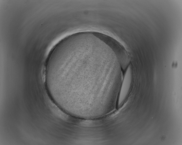 X0000092001510200709271457