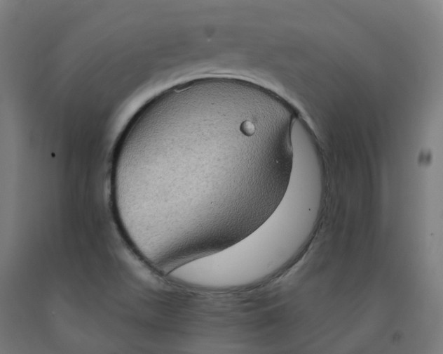 X0000092001511200709271457