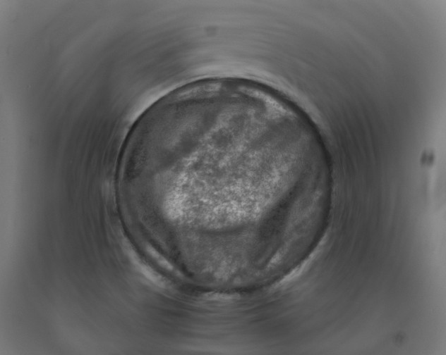 X0000092001513200709271457