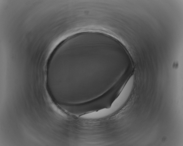 X0000092001515200709271457