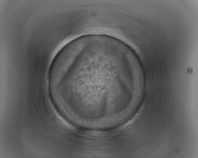 X0000092001517200709271457