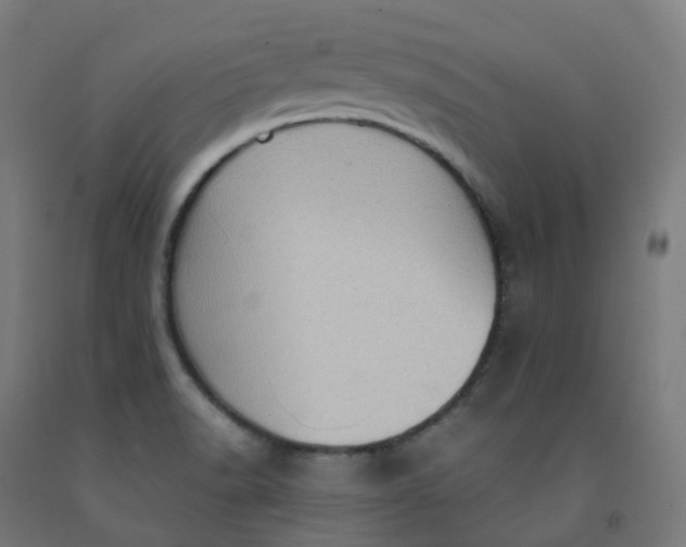 X0000092001518200709271457