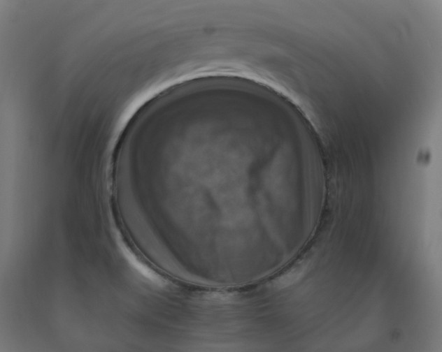 X0000092001519200709271457