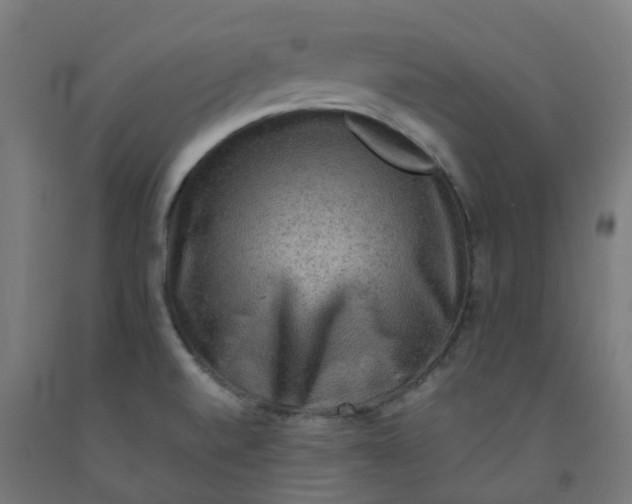 X0000092001520200709271457