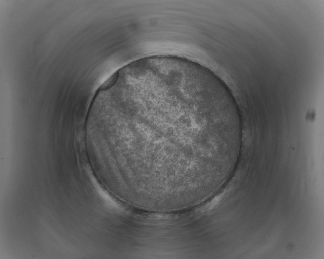 X0000092001521200709271457