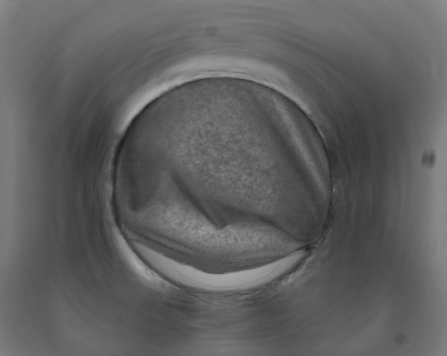 X0000092001523200709271457