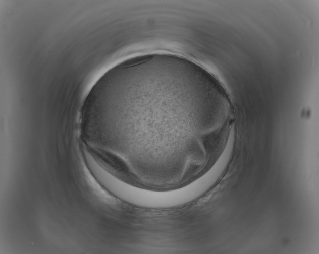 X0000092001524200709271457