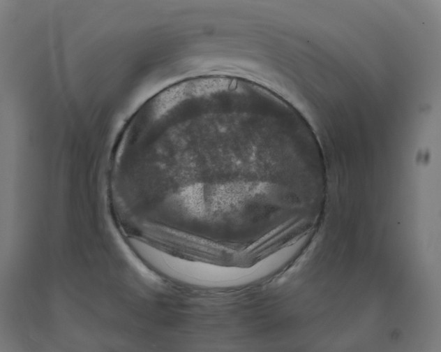 X0000092001525200709271457