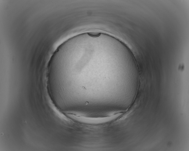 X0000092001526200709271457