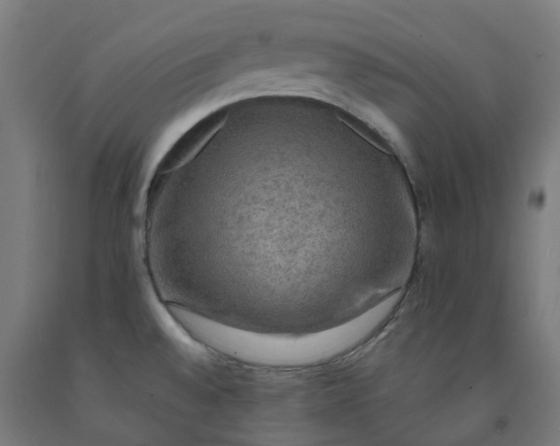 X0000092001528200709271457