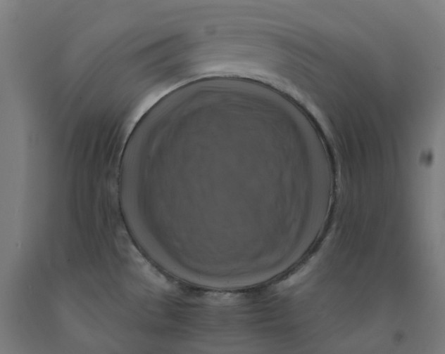 X0000092001529200709271457