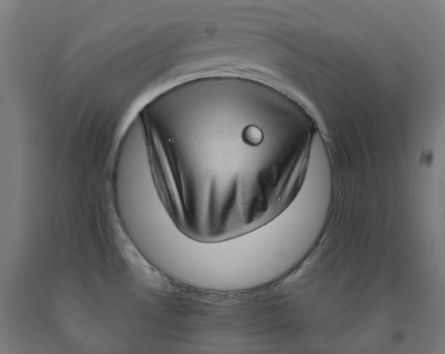 X0000092001530200709271457