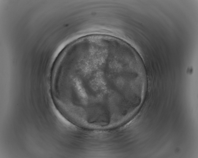 X0000092001531200709271457