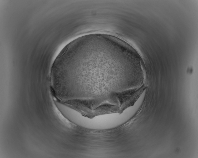 X0000092001532200709271457