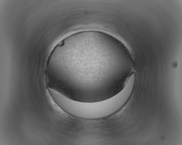 X0000092001534200709271457