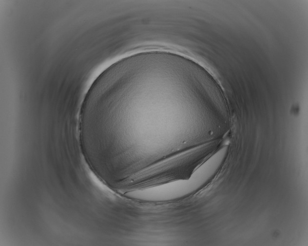 X0000092001535200709271457