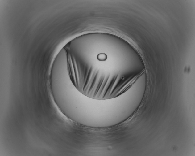 X0000092001536200709271457