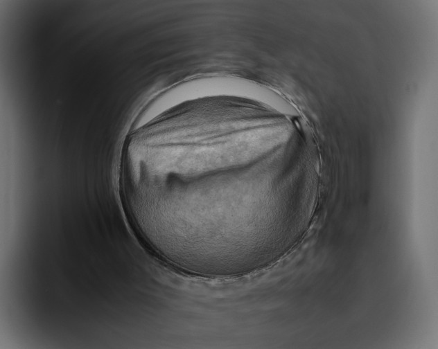 X0000092000003200710041016