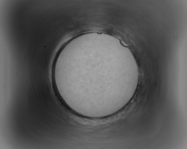 X0000092000006200710041016