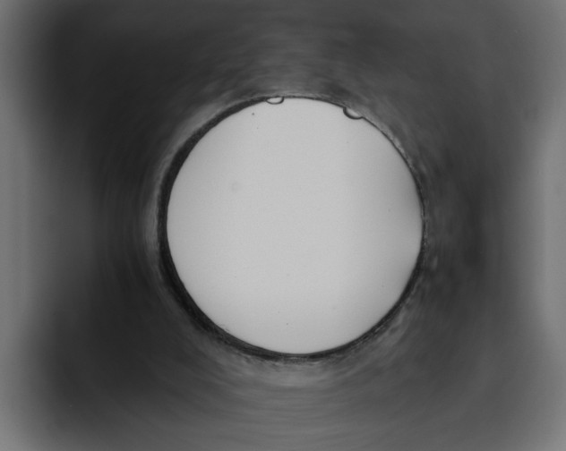 X0000092000008200710041016