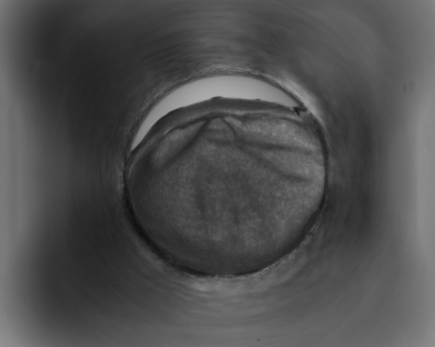 X0000092000009200710041016