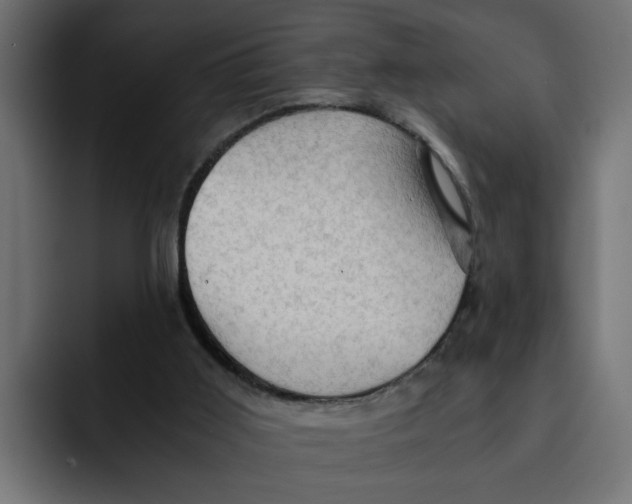 X0000092000011200710041016