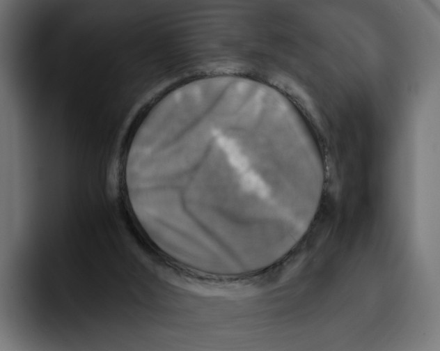 X0000092000012200710041016