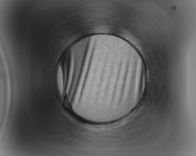 X0000092000013200710041016