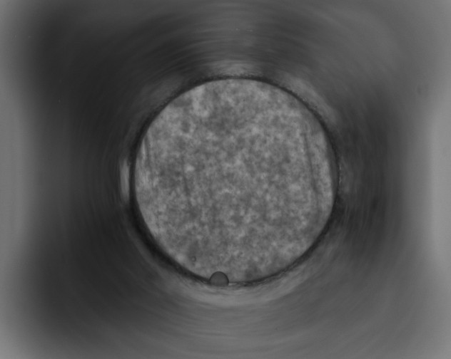 X0000092000014200710041016