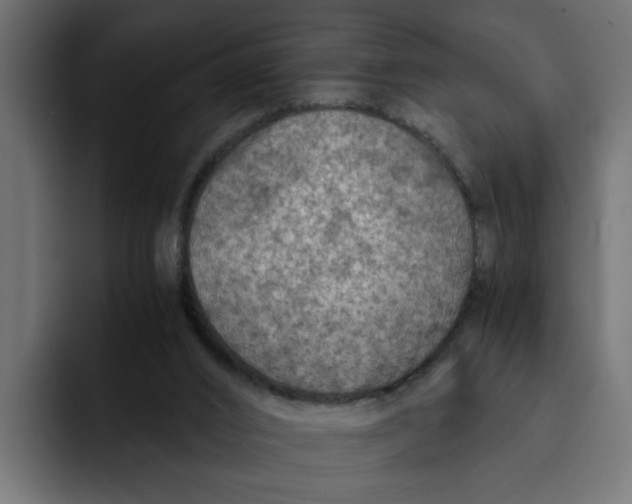 X0000092000016200710041016