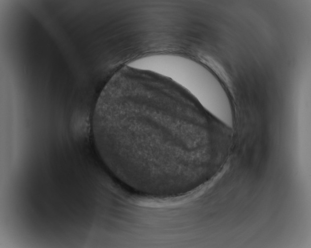 X0000092000017200710041016