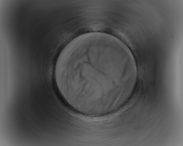 X0000092000018200710041016