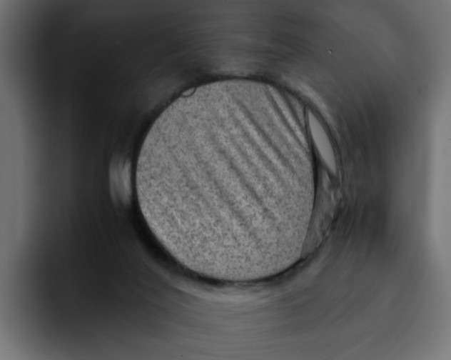 X0000092000020200710041015